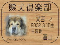 �I�[�i�[�́A�h�g�}�}����ł���